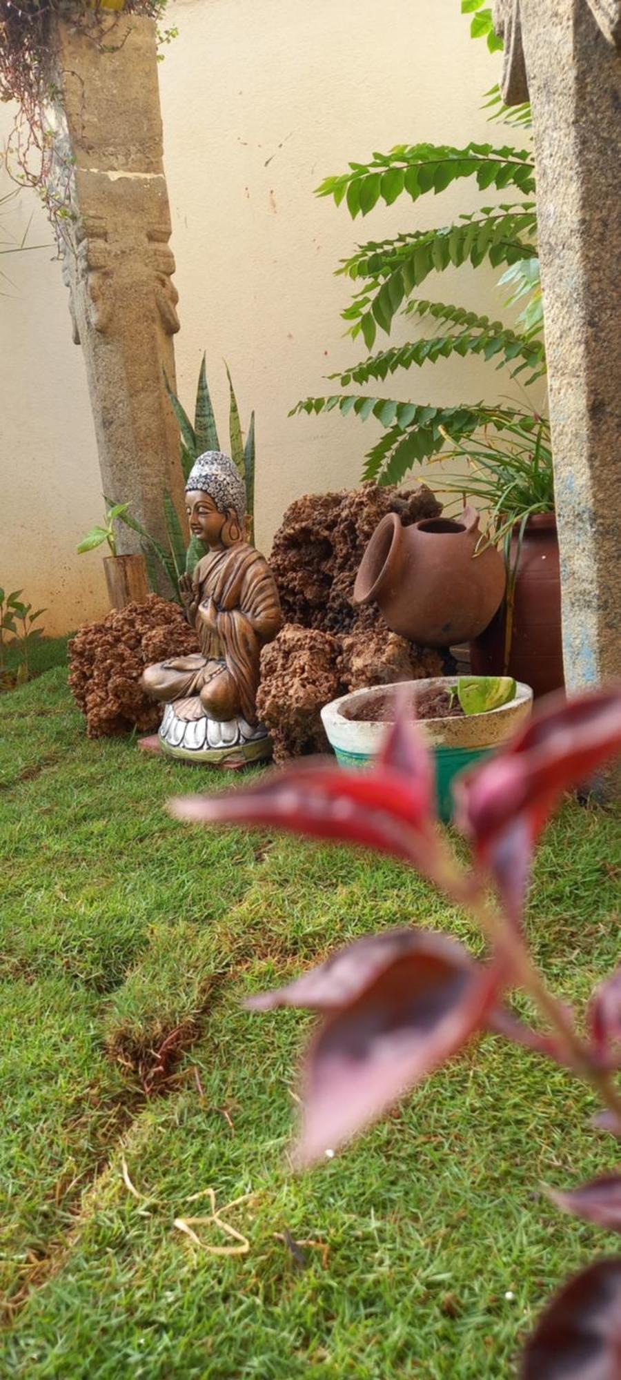 Shi'S Shambhavi Homestay -On The Way To Isha, Maruthamalai Coimbatore Exteriör bild